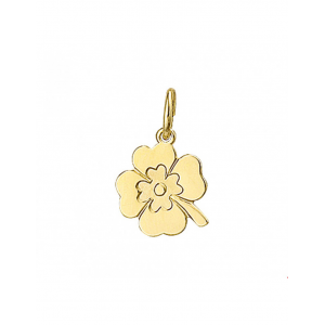 14 karaats geelgouden hanger, Klavertje vier 11,5 x 10mm, achterzijde te graveren - 28917