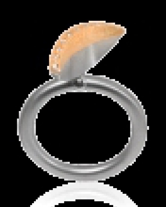 Een stalen Swivel ring, model Ad Arco, gecombineerd met 18 karaats goud met 10x 0.01 ct diamant, briljant geslepen en  pavé gezet. - 36616