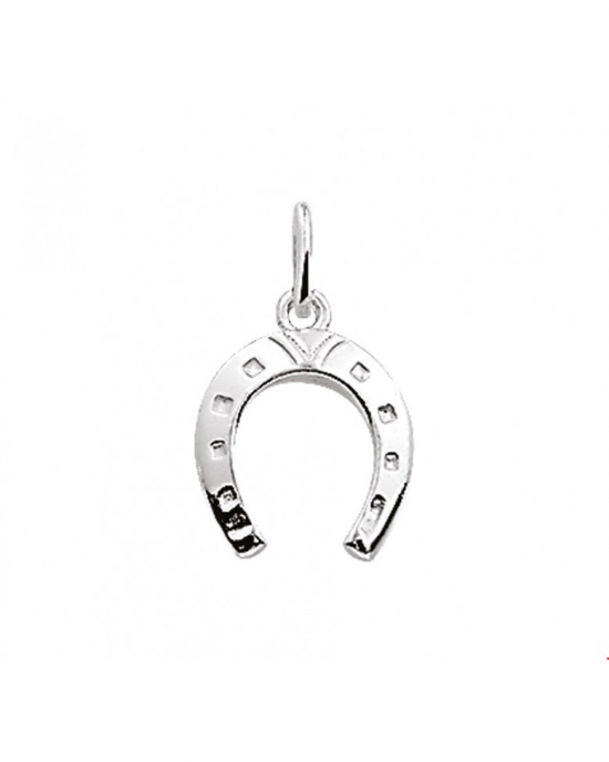 zilveren fantasie hanger/bedel " Hoefijzer " - 210058