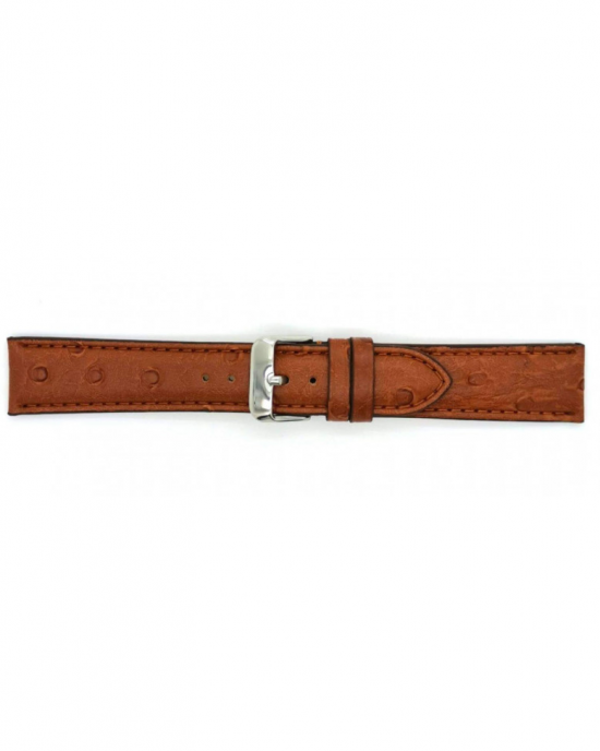 Ostrich print on calf leather, padded with cut edges and stainless steel buckle - 210376