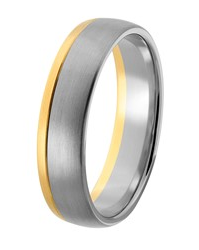 14 krt geel en witgouden Aller Spanninga partnerring, model 444 in 6 mm x 1,8 mm mat uitgevoerd maat 20.5 - 213142