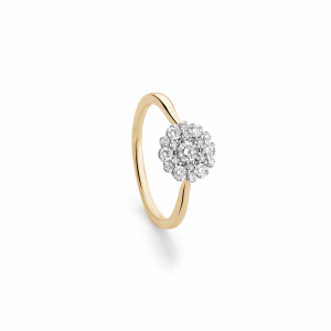 14 krt bicolor gouden Jubileum entourage ring waarin 19 briljant geslepen diamanten zijn gezet W/Si (1 x 0.14 + 6 x 0.035 + 6 x 0.015 + 6 x 0.01 ) - 213001
