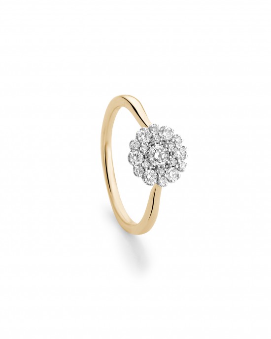 14 krt bicolor gouden " Jubileum entourage ring " waarin 19 briljant geslepen diamanten zijn gezet W/Si (1x0.14 + 6x 0.035 + 6 x 0.015 + 6x 0.01 ) - 213001