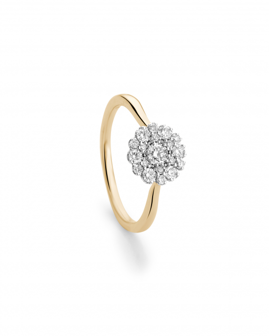 14 krt bicolor gouden Jubileum entourage ring waarin 19 briljant geslepen diamanten zijn gezet W/Si (1 x 0.14 + 6 x 0.035 + 6 x 0.015 + 6 x 0.01 ) - 213001
