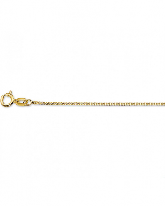 14 krt geelgouden gourmet lengte collier + veerring , 41 + 4 cm x 1 mm - 213295