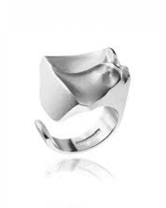 Zilveren Lapponia ring " Sagita " 650057 ontworpen door Björn Weckstrom - 211672