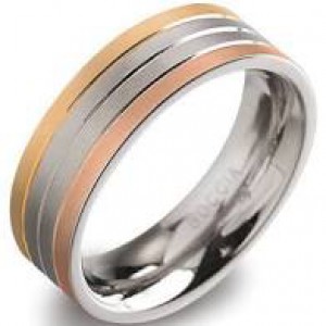 tri-colour titanium Boccia ring model 0135-03 verguld - 212646