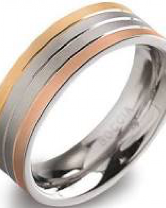 tri-colour titanium Boccia ring model 0135-03 verguld - 212646