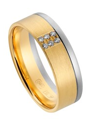 14 krt wit en geelgouden Aller Spanninga partnerring mat en glanzend, model 438 AS, 6,5 mm x 1,4 mm, verfraaid met 6 x 0.01 ct briljant geslepen diamant TW/VVS ringmaat 16 - 213155