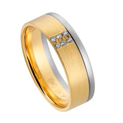 14 krt wit en geelgouden Aller Spanninga partnerring mat en glanzend, model 438 AS, 6,5 mm x 1,4 mm, verfraaid met 6 x 0.01 ct briljant geslepen diamant TW/VVS ringmaat 16 - 213155