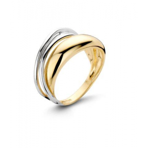geel- en witgouden ring in diverse diagonalen - 213511