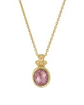 Zilveren Rabinovich hanger inclusief collier geel verguld 42 + 3 cm  " Hope " verfraaid met ovaal gefacetteerd amethyst - 214157
