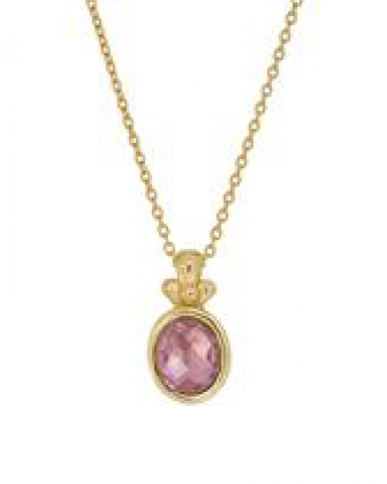 Zilveren Rabinovich hanger inclusief collier geel verguld 42 + 3 cm  " Hope " verfraaid met ovaal gefacetteerd amethyst - 214157