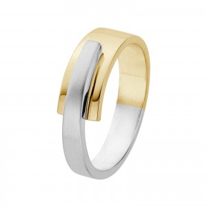 handgesmeed Nol ring waarvan onderste helft 14 krt warme kleur geelgoud en bovenste helft is vervaardigd van argentium zilver, model AU/ARG81127.5 - 214629