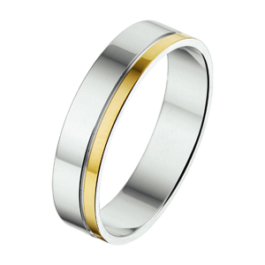 zilveren Amorio vriendschapsring met goud, 5 mm poli - 215755