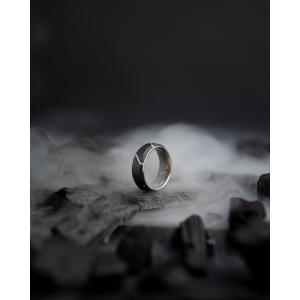 Gemini Carus silver ring, titanium met ingelegt carbon - 11112089
