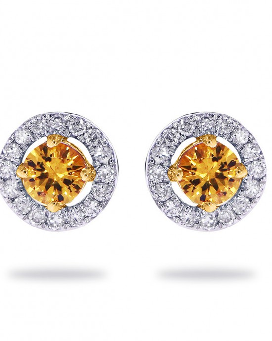 14 karaats bi-colourgouden oorsieraden met centraal een oranje saffier (2/0.26crt) en daaromheen een entourage van 32 briljant geslepen diamanten met een gezamenlijk gewicht van 0.09 crt. H- SI - 11112413