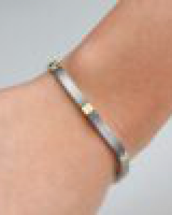 Boccia titanium armband, deels geelverguld, referentienummer 0329-04 - 11112463