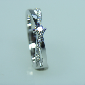 14 krt witgouden R&C fantasie groeibriljant ring, model 2014 small, verfraaid met 17 briljant geslepen diamanten, middensteen 0,15 crt en 16 zijstenen van totaal 0,11 crt. totaalgewicht 0,26 crt Si/R - 11113670