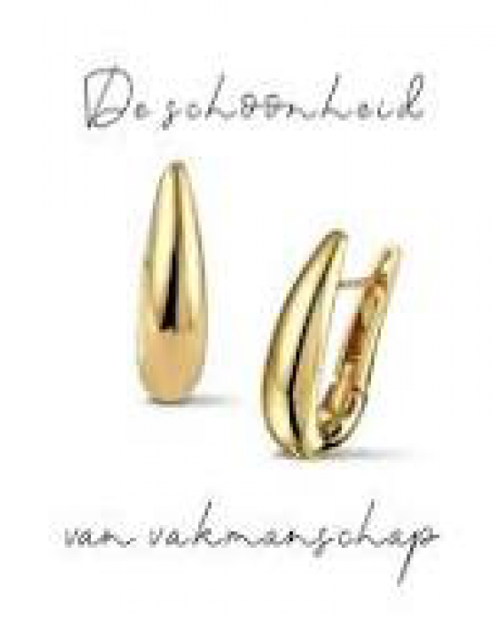 14 karaats geelgouden Monzario oorsieraden druppelvormig , ca. 24 mm totale lengte, stift is iets lager geplaatst zodat deze erg mooi op het oor zit. refnr. 1078-o geel - 11113969