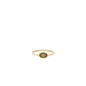 Een 14 karaats geelgouden ring met een ovale paarse zirkonia - 11111349
