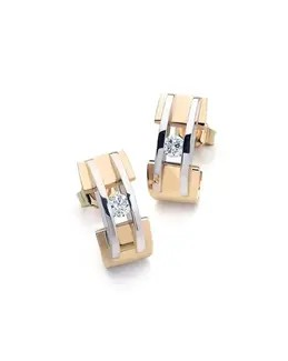 R & C groeibriljant oorsieraden in 14 karaats geel- en witgoud, model 53 bezet met elk een briljant geslepen diamant van 0,03 crt.SI/R - 11114278