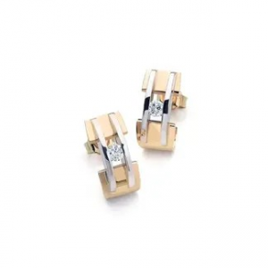 R & C groeibriljant oorsieraden in 14 karaats geel- en witgoud, model 53 bezet met elk een briljant geslepen diamant van 0,03 crt.SI/R - 11114278