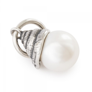 Zilveren Trollbeads kraal;  Oceaanschat hanger refnr. TAGBE-00312 - 11115554