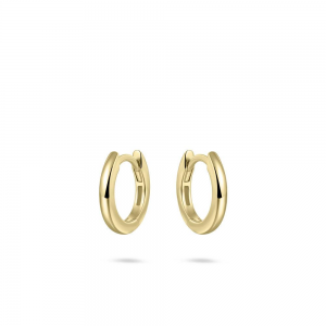 zilver, geel verguld en gepolijste klapcreolen 2 x 13,5 mm - 11115696
