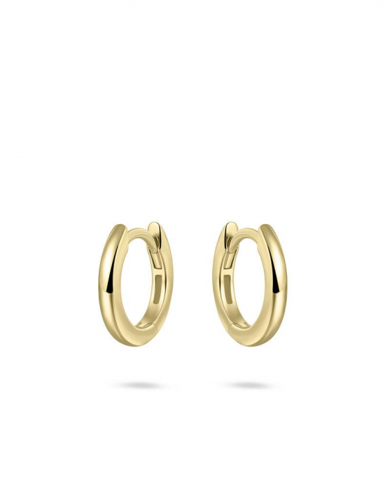 zilver, geel verguld en gepolijste klapcreolen 2 x 13,5 mm - 11115696
