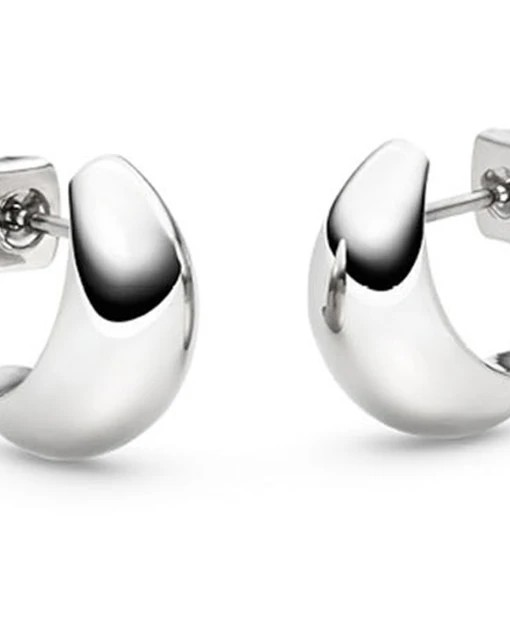 titanium Boccia Oorstekers, druppelvormige creoolstekers, mat-poli ref : 05089-01 - 11115937