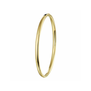 bangle scharnier massief ovale buis 4,0 mm - 11115745