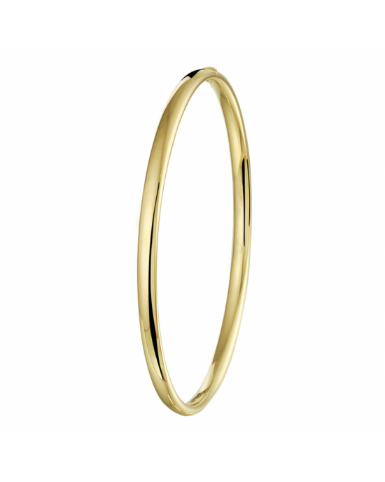 bangle scharnier massief ovale buis 4,0 mm - 11115745