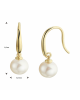 14k Geelgouden oorhangers uitgevoerd met een zoetwaterparel. De oorhangers hebben een totale hoogte van 1.8cm. De parel heeft een diameter van 6.5mm - 11115603