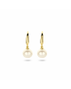 14k Geelgouden oorhangers uitgevoerd met een zoetwaterparel. De oorhangers hebben een totale hoogte van 1.8cm. De parel heeft een diameter van 6.5mm - 11115603
